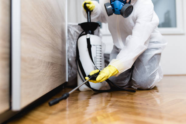 Best Affordable Pest Control Services  in Deerfield, MI