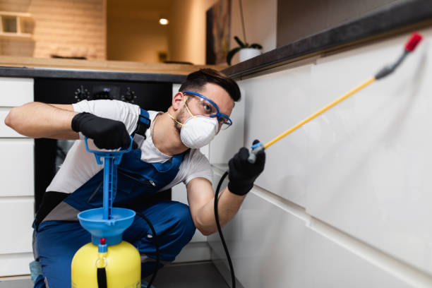 Best Rat Extermination Near Me  in Deerfield, MI