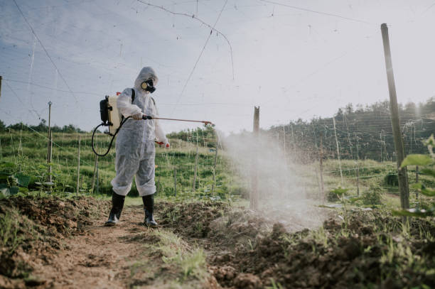 Best Mosquito Control Services  in Deerfield, MI