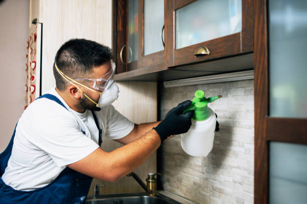Best Rat Extermination Near Me  in Deerfield, MI
