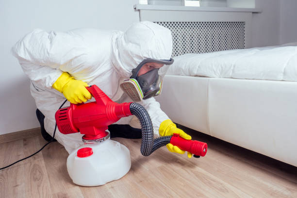 Best Ant Control Services  in Deerfield, MI