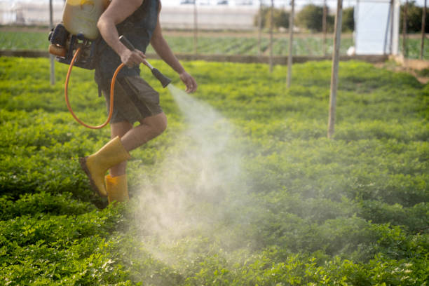 Best Pest Prevention Services  in Deerfield, MI