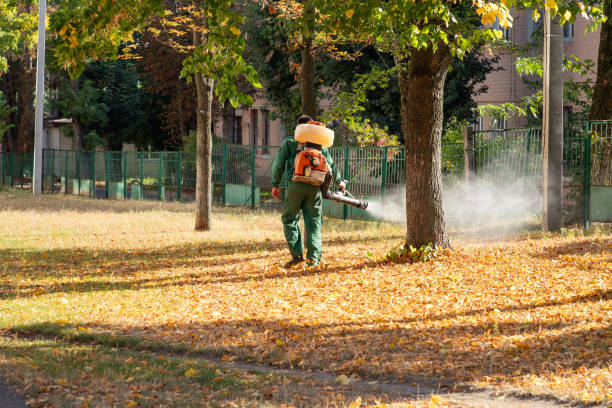 Best Rodent Control Near Me  in Deerfield, MI