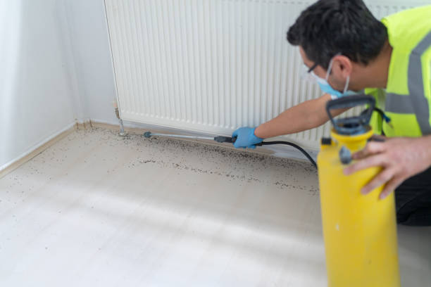 Professional Pest Control in Deerfield, MI